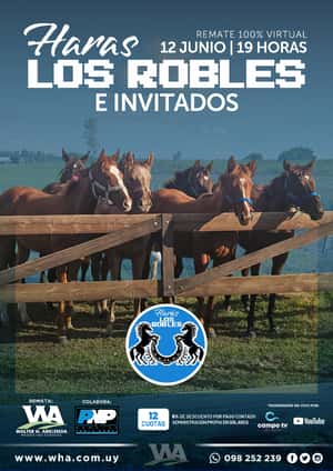 Haras Los Robles