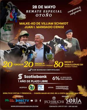 Remate Especial Otoño