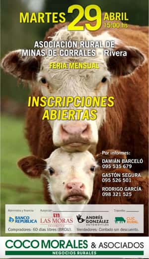 Imagen Feria Mensual - Coco Morales