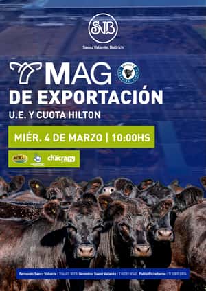 MAG de EXPORTACIÓN: UE y CUOTA HILTON