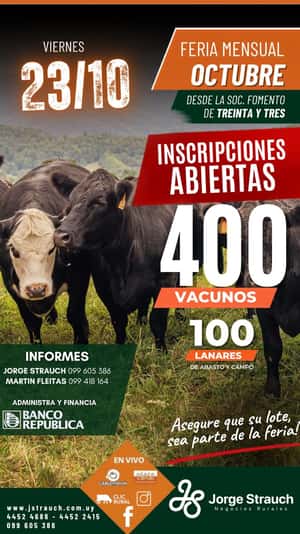 Feria mensual - Jorge Strauch