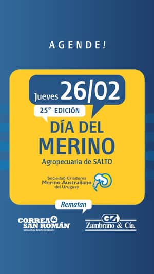 25º Día del Merino