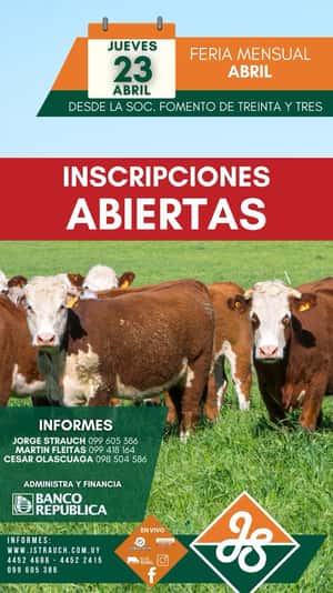 Feria Mensual - Abril