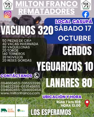 Feria mensual - Milton Franco