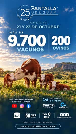 321º remate Pantalla Uruguay