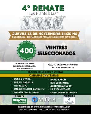 Remate Físico Las Planteleras