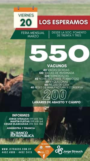 Feria Mensual - Jorge Strauch