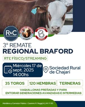 1° Remate regional Braford 