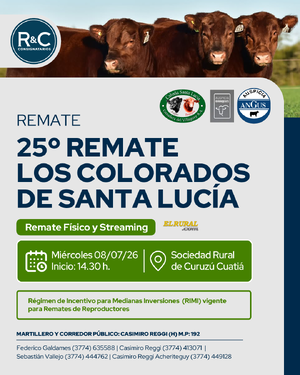 25° Remate Los colorados de Santa Lucia 