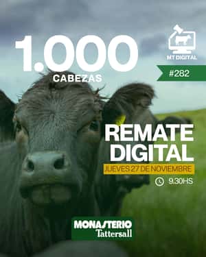 Remate digital 282°