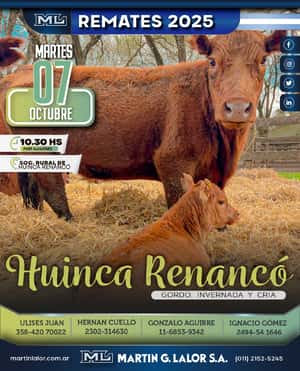 Huinca Renanco (Oct 25´)