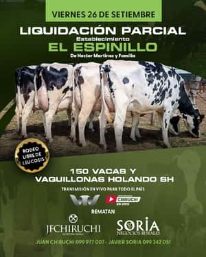 Liquidacion Parcial - Establecimiento El Espinillo