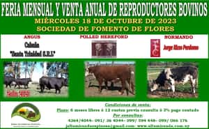Feria Mensual y Venta Anual de Reproductores Bovinos