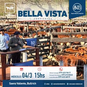 Feria en Bella Vista