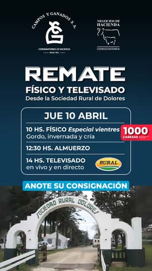 245° REMATE POR PANTALLA