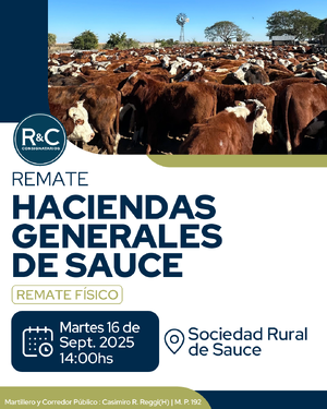 Haciendas generales de Sauce 