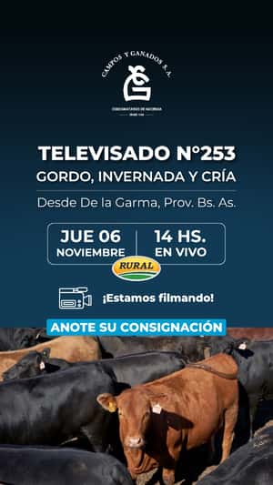 253° REMATE POR  PANTALLA