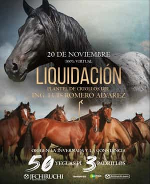 Criollos