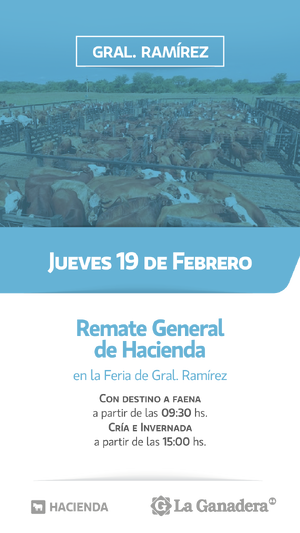 REMATE FERIA EN INSTALACIONES DE GRAL. RAMÍREZ