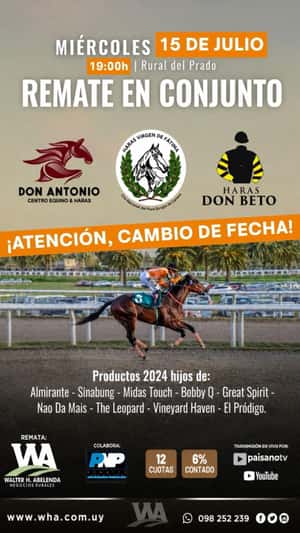 Remate En Conjunto (Gen. 2024)