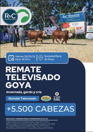 Televisado Goya