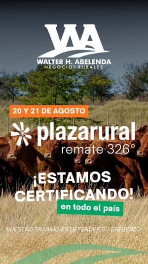 326º remate Plaza Rural