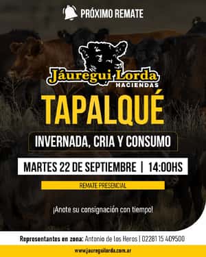 Remate invernada, cría y consumo