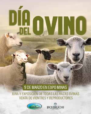 Dia del Ovino