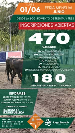 Feria Mensual - Jorge Strauch