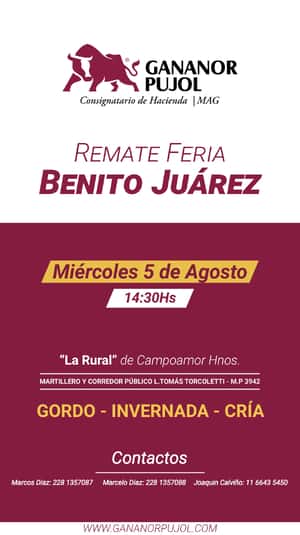 REMATE FERIA BENITO JUÁREZ