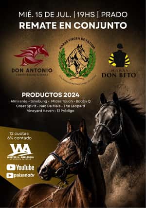 Remate En Conjunto (Gen. 2024)