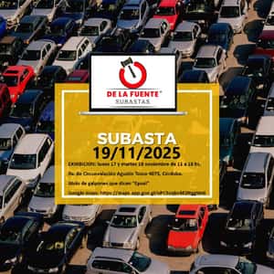 SUBASTA 19/11/2025 14:30HS