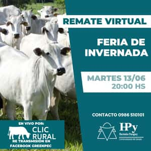 Feria de Invernada - Haciendas Paraguay