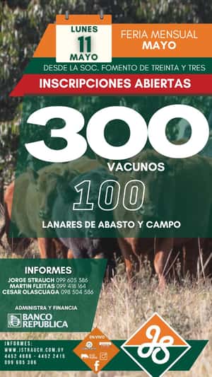 Feria Mensual - Jorge Strauch