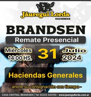 Remate haciendas generales, Brandsen, Miércoles 31 de Julio 