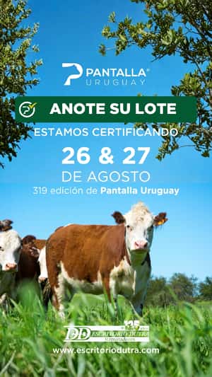 319º remate Pantalla Uruguay
