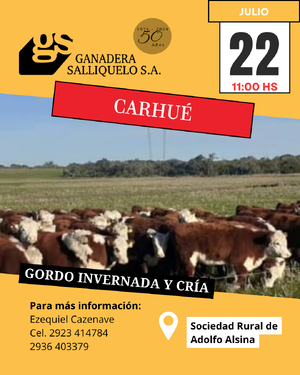 Gordo, invernada y cría en Carhué