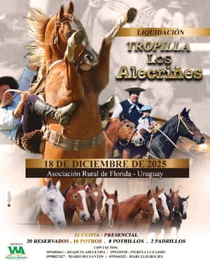 Tropilla Los Alecriñes