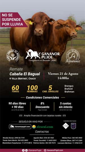 Remate Cabaña El Bagual