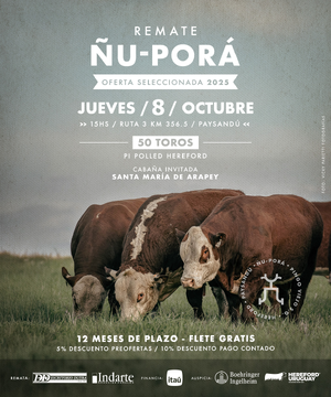 Ñu Pora