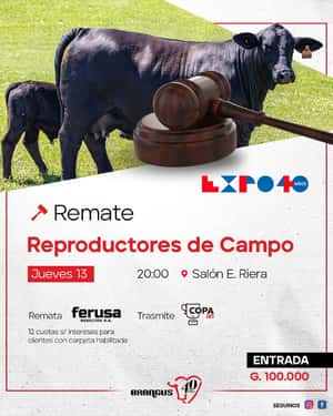 REMATE REPRODUCTORES DE CAMPO BRANGUS - EXPO INTERNACIONAL 2023