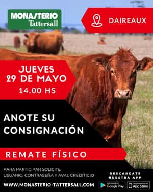Remate Fisico Daireaux