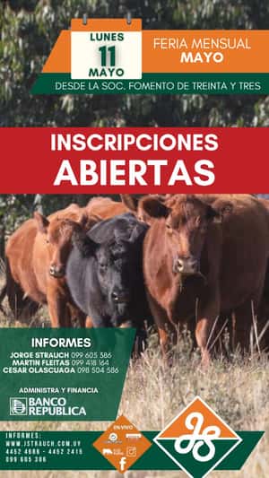 Feria Mensual - Jorge Strauch