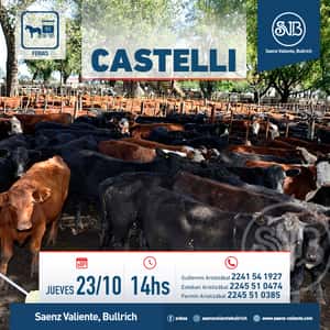 Feria en Castelli