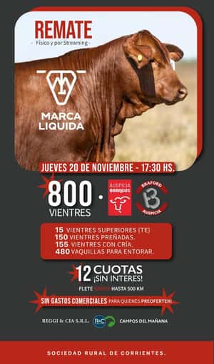 4ºREMATE MARCA LIQUIDA