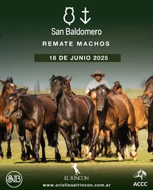 CABAÑA SAN BALDOMERO MACHOS