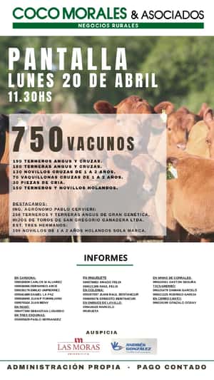 Imagen Pantalla Coco Morales