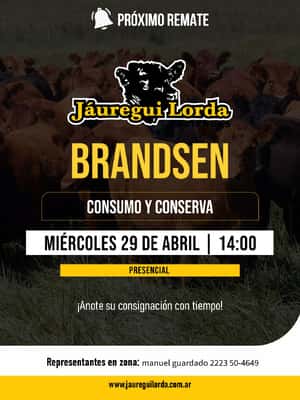 29 de Abril - Brandsen