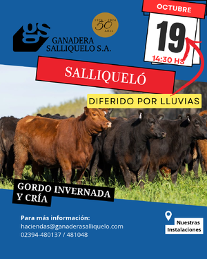 REMATE FERIA EN SALLIQUELÓ