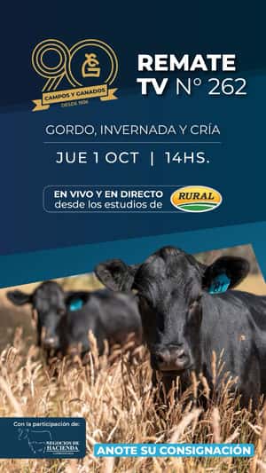 262° REMATE POR PANTALLA - 90° ANIVERSARIO